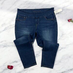 Jag Nora High Rise Skinny Jeans Plus Size 24W Pull On Stretch Denim Flatiron